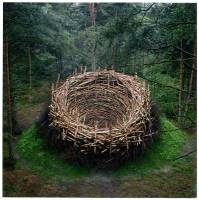 nils_udo_das_nest_131_l 