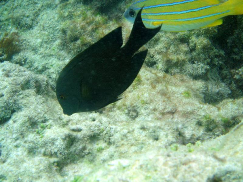 PC010238 