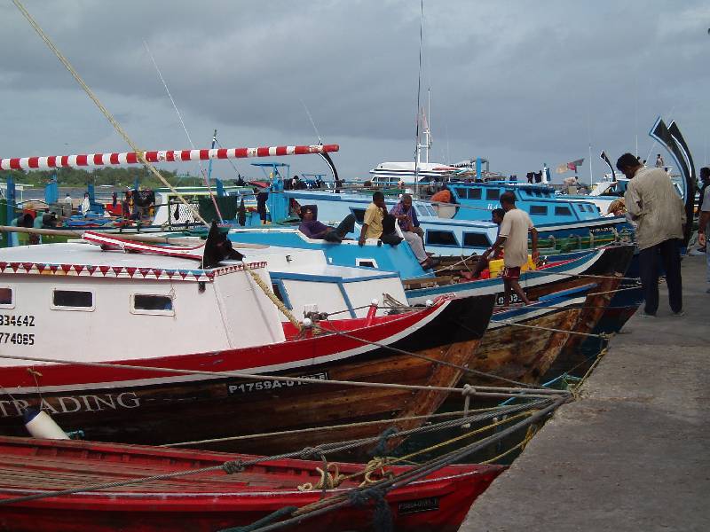 PC010381 