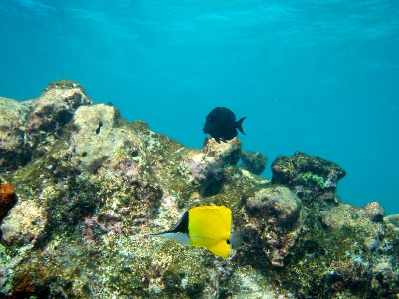 PC020412 