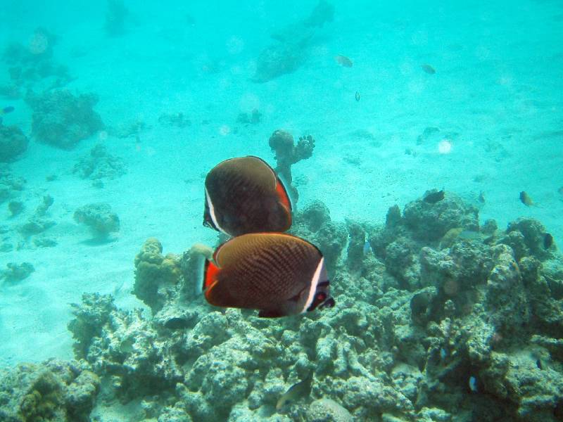 PC020424 
