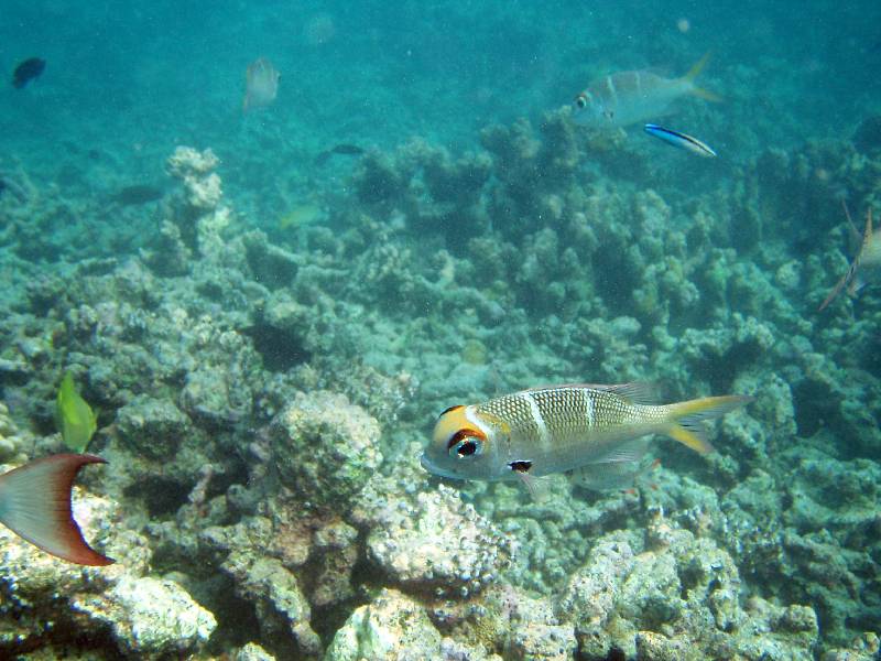 PC020425 