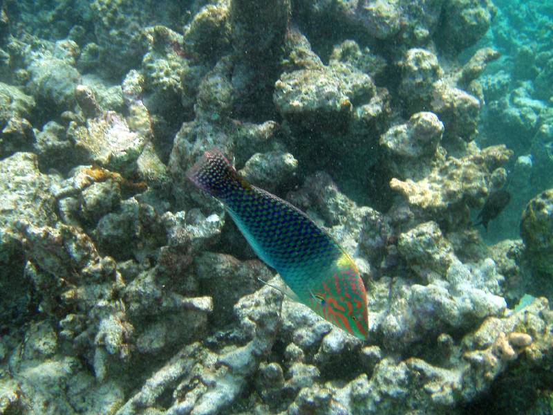 PC020430 