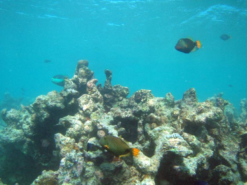 PC020431 