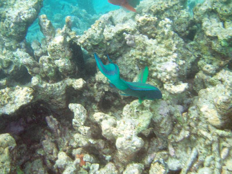PC020447 