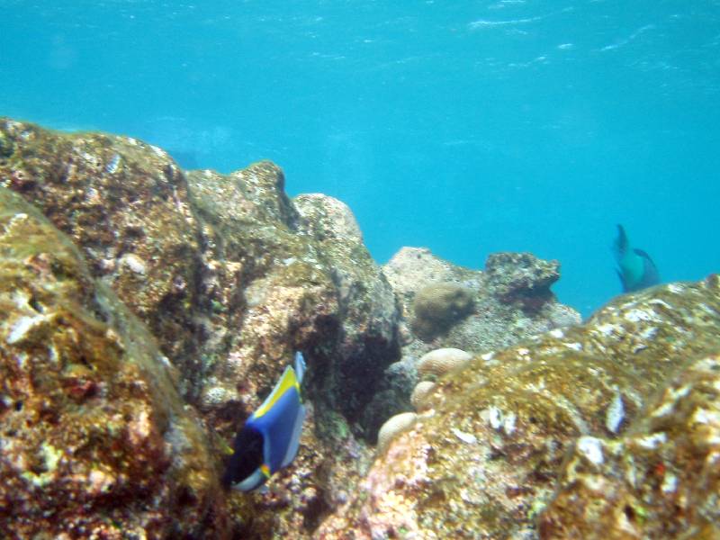 PC020457 