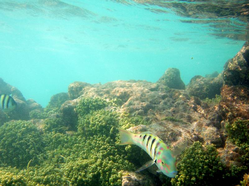 PC030608 