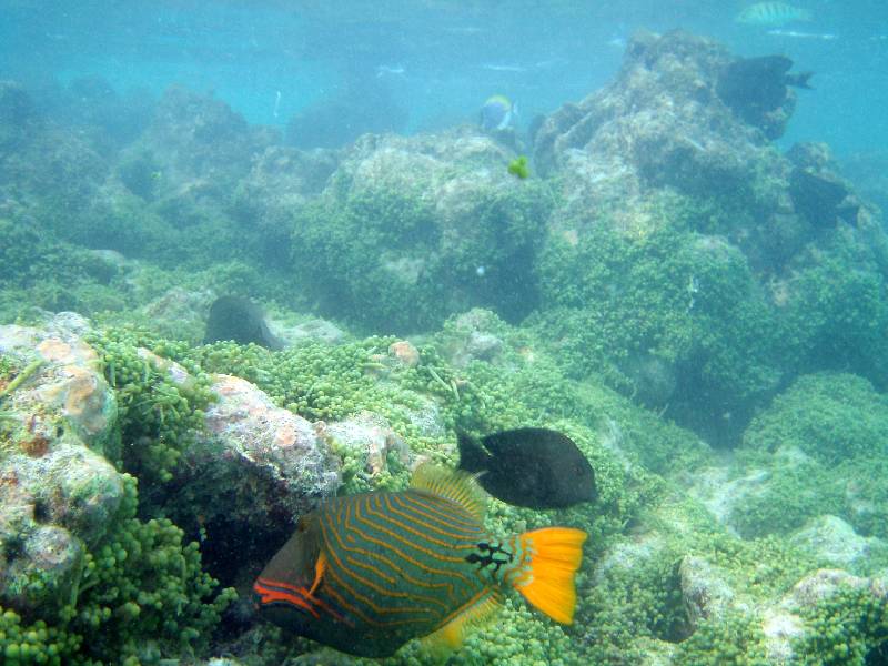 PC030615 