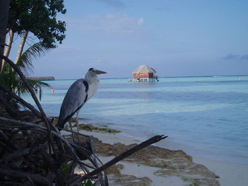 PC040754 