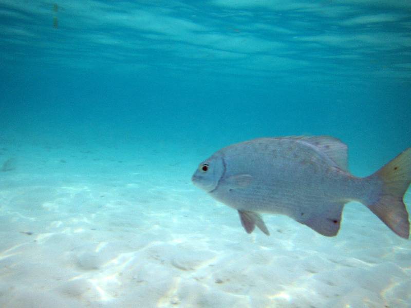 PC040764 