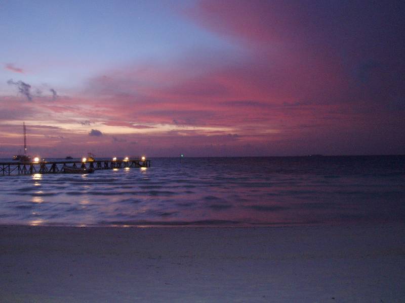 PC050002 