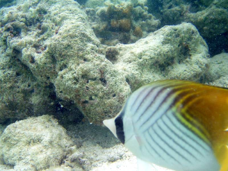 PC050810 