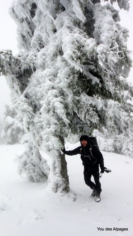 Auvergne, novembre 2010
