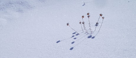 [photo]