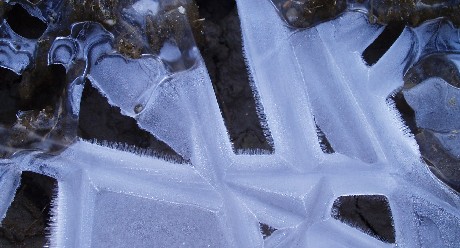 [photo]