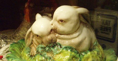 [photo] lapins vicieux