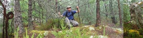 le You des bois